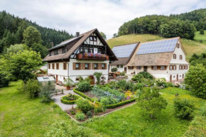 Am Döttelbach Bad Peterstal-Griesbach